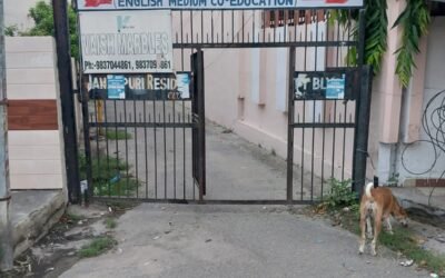 Janakpuri Residents Allege Public Road Blocked by Encroachment, Seek Immediate Action